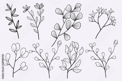 flower leaves doodle hand d...
