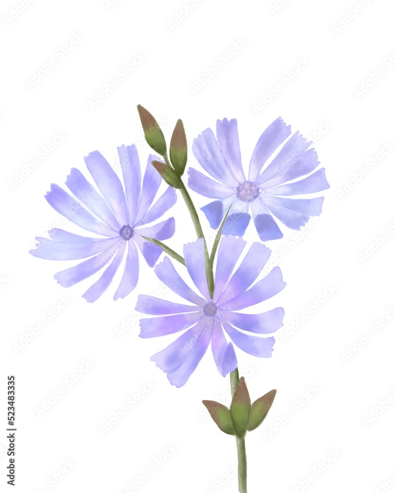 Watercolour purple meadow flower. Watercolour botanical poster design. Flower branch isolated. 