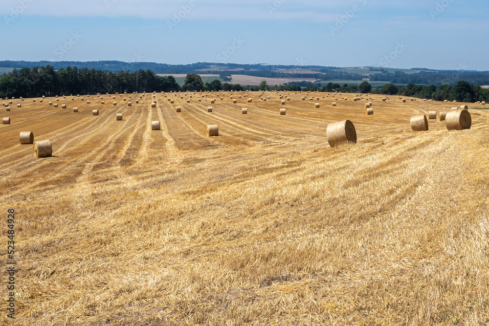 Fototapeta premium Hay bales on the field after harvest