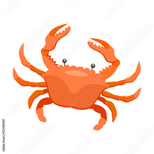 Various marine animals flat icon. Cartoon cute crab isolated vector illustration. Sea or ocean underwater life