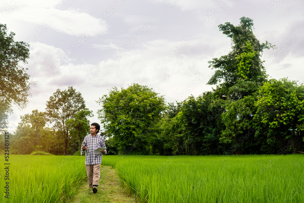 Asian farmers is walking in the fields, agriculture farmers Asian farmers is walking in the fields, agriculture farmers