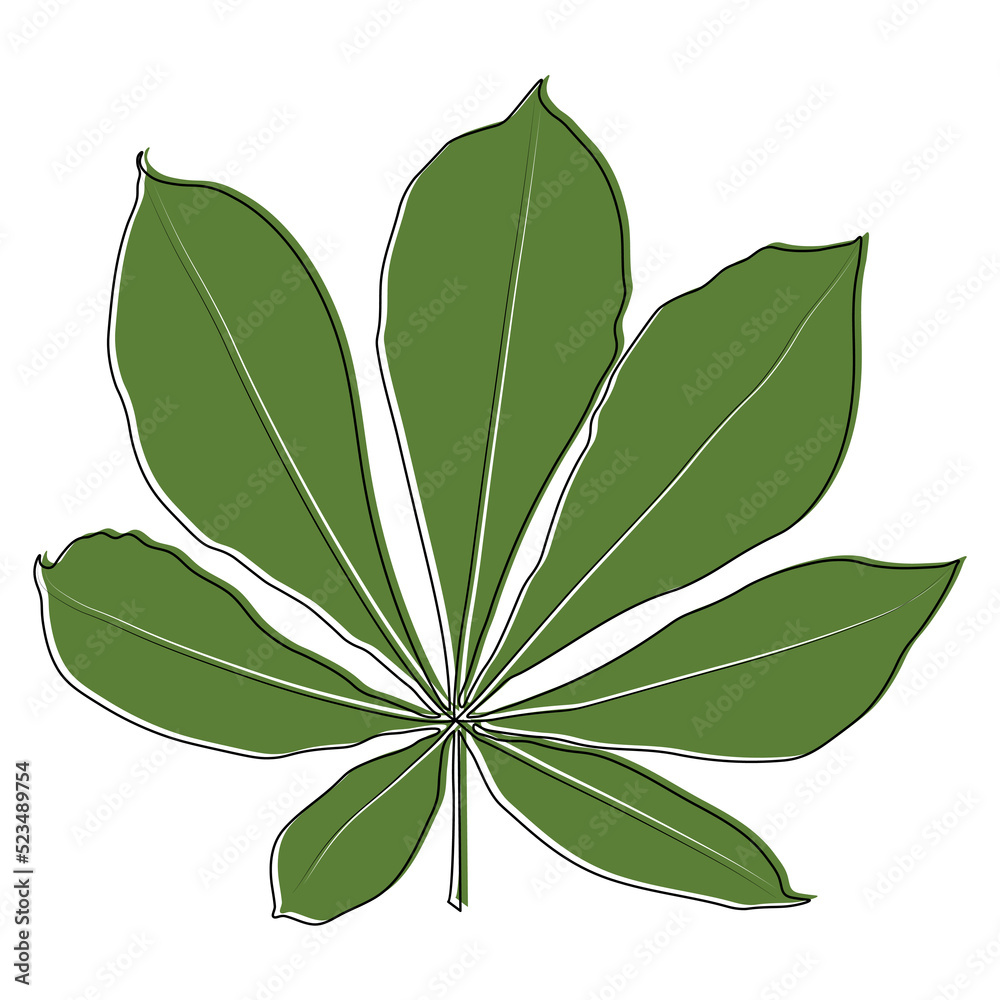 Vector chestnut leaf outline and coloured icon. Simple chestnut leaves illustration for logo. Realistic hand drawn leaves illustration set on white background. Vector chestnut leaf outline and coloured icon. Simple chestnut leaves illustration for logo. Realistic hand drawn leaves illustration set on white background.