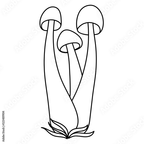 Set of mushrooms vector simple illustration isolated on white background. Outline hand drawn sketched version. Vector mycology. Natural healthy fungus, autumn design.