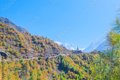 view of Ama Dablam and Himalayan Mountains from Nangkar Tshang View Point, Dingboche, Sagarmatha national park, Everest Base Camp 3 Passes Trek, Nepal. photo