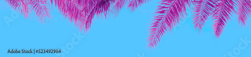 Palm tree leaves against blue sky background. Horizontal banner