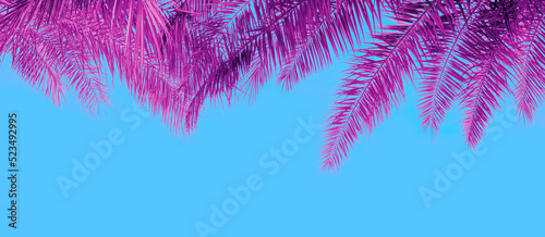 Palm tree leaves against blue sky background. Horizontal banner