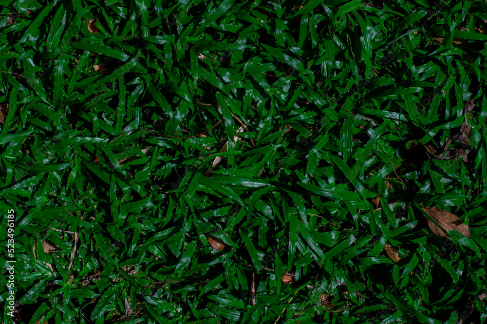 Green artificial grass natural background Green artificial grass natural background