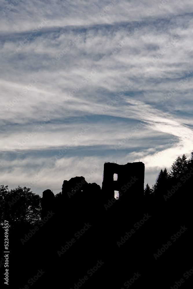 Obraz premium the ruins of a castle