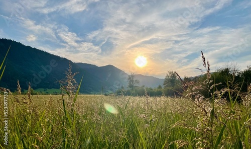 Spaziergang im Sommer in der Abenddämmerung in den bayerischen Ammergauer Alpen am Feld und Moor 