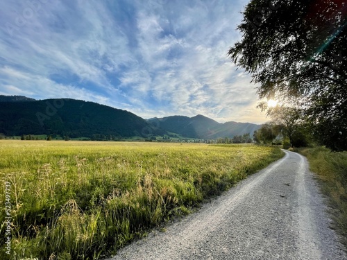 Spaziergang im Sommer in der Abenddämmerung am Feld und Moor in den bayerischen Ammergauer Alpen 