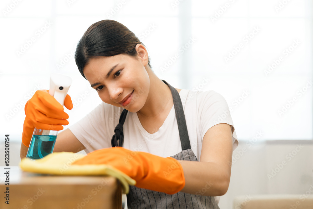 Beautiful housewife with rubber gloves and apron using spray bottle and microfiber towel to clean table at apartment. Young woman is happy to clean home. Maid cleaning service. Beautiful housewife with rubber gloves and apron using spray bottle and microfiber towel to clean table at apartment. Young woman is happy to clean home. Maid cleaning service.