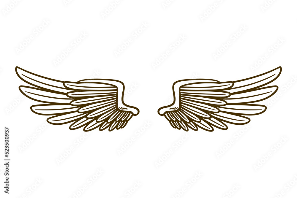 Fototapeta premium eagle wing vector illustration