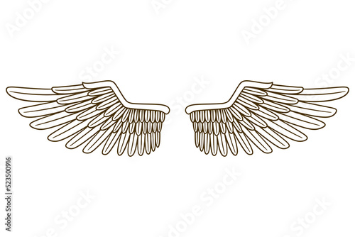 eagle wing vector illustration