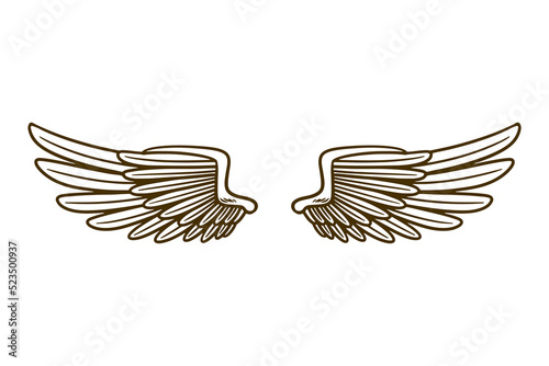 eagle wing vector illustration
