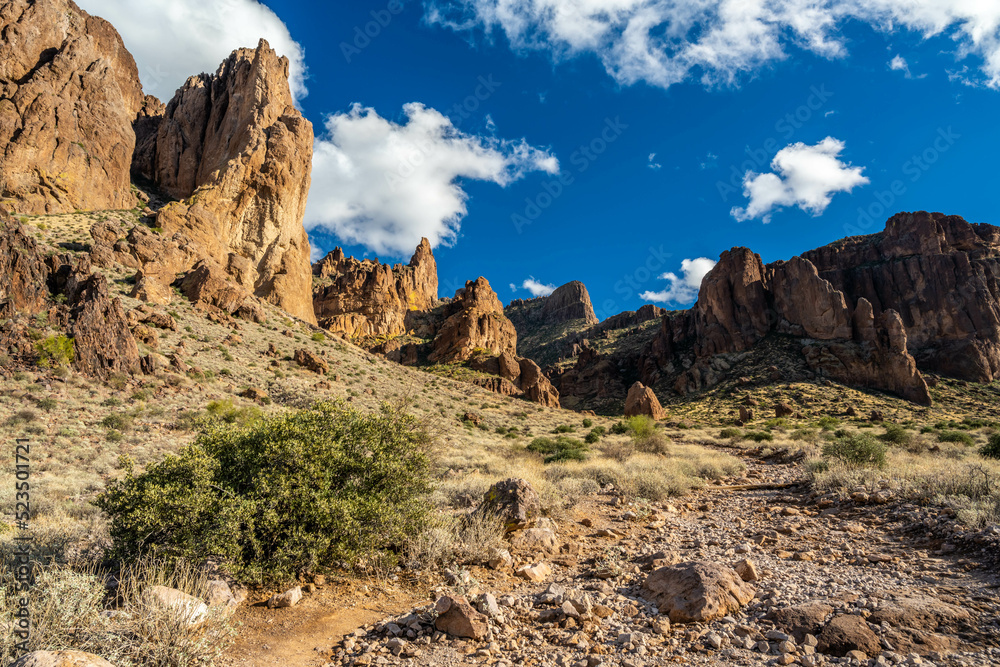 Fototapeta premium An overlooking view of Lost Dutchman SP, Arizona