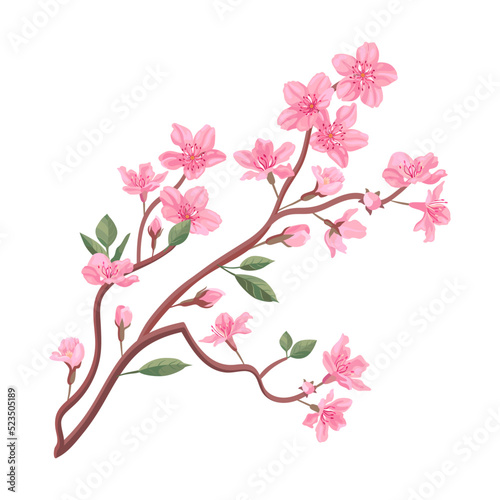 Cherry or peach tree branches with leaves. Flat vector illustrations for spring in Asia  nature  blooming. Sakura blossom