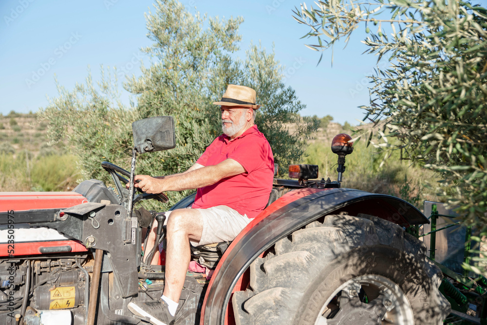 Fototapeta premium side view of a proud older farmer with a hat working in the field with a tractor