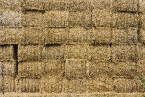 Stapel von Ballen aus Stroh mit Struktur