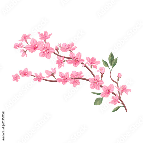 Pink Sakura flowers petals, cherry or peach tree branches with leaves. Flat vector illustrations for spring in Asia, nature, blooming © Bro Vector