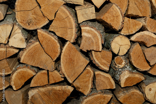A stack of firewood harvested for the winter. Pile of firewood dries before winter