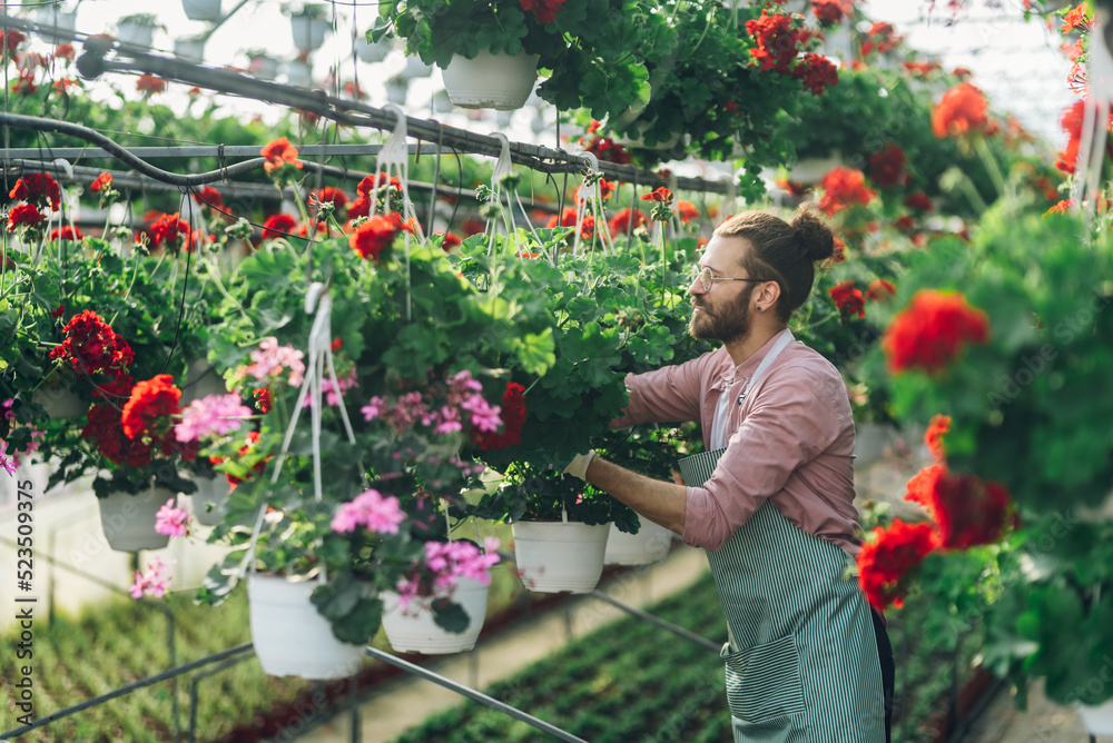 Florist man working with flowers at a plant nursery greenhouse.