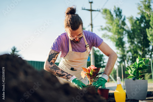 Man transplanting flower pot plants at the table in a plant nursery photo