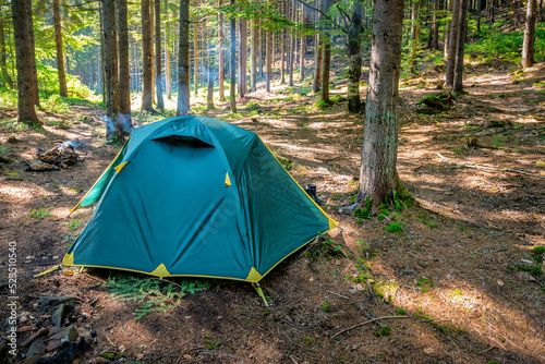 Tourist tent in wild forest
