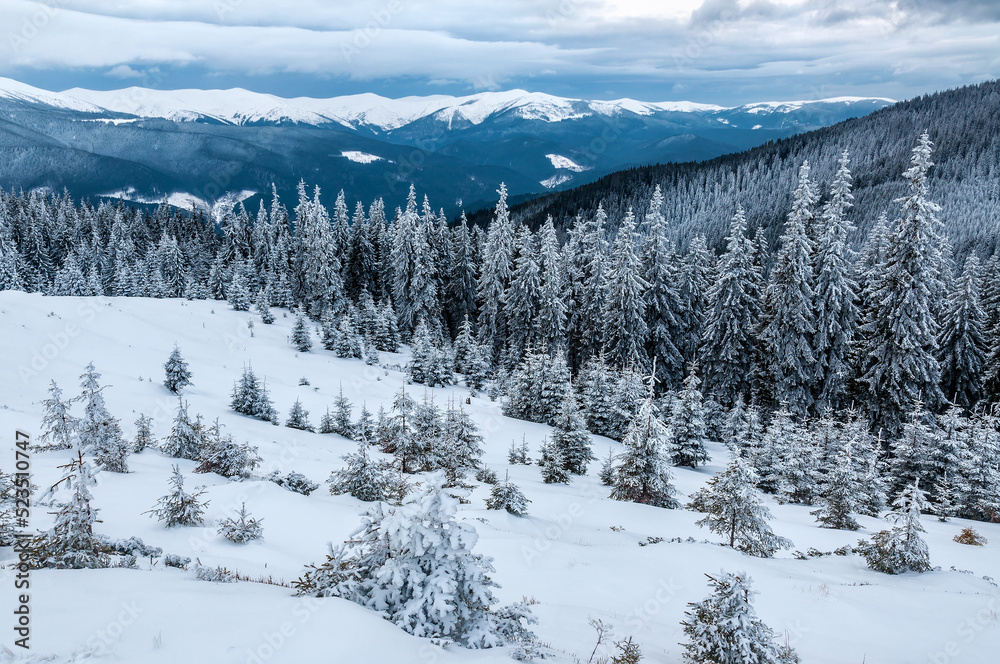 Winter snowy mountains, wilderness landscape