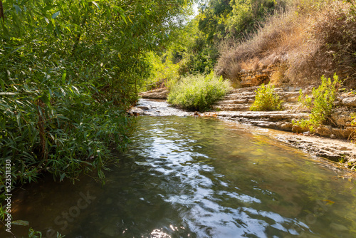 Wallpaper Mural Fresh,  cold, fast, shallow stream En Hardalit flows in the north of Israel, not far from Nahariya city Torontodigital.ca