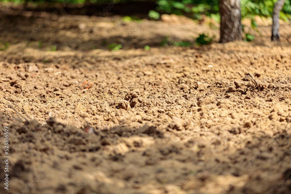 Plowed land, agricultural work. Leveling the soil on the site.Close-up