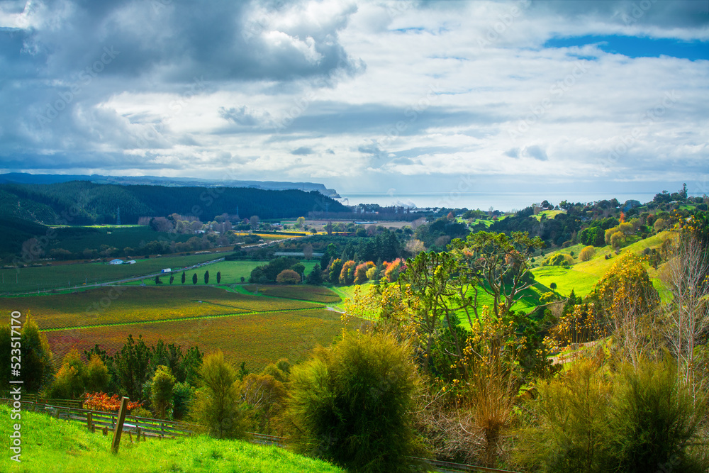 Breathtaking autumn landscape with stormy sky and changing light over golden vineyards in the valley, colourful trees on the slopes, and distant sea. Beautiful autumn day in Hawkes Bay, New Zealand