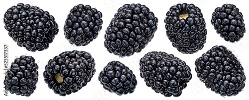 Photography Blackberry isolated on white background with clipping path