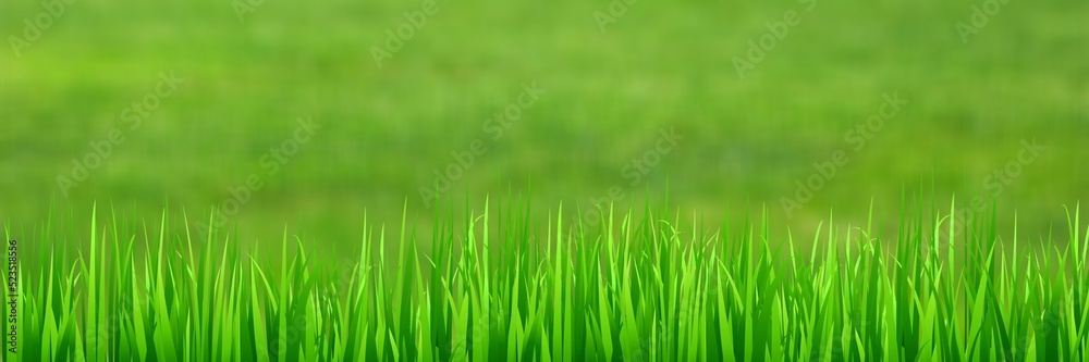Fresh bright green grass on lawn. Stadium grass. Trimmed lawn grass Fresh bright green grass on lawn. Stadium grass. Trimmed lawn grass