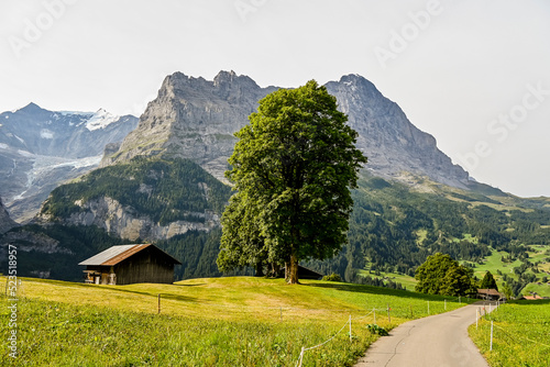 Grindelwald, Eiger, Eigernordwand, Unterer Grindelwaldgletscher, Gletscher, Alpen, fiescherhörner, finsteraarhorn, Kleine Scheidegg, Berner Oberland, Bergdorf, Wanderweg, Sommer, Schweiz photo