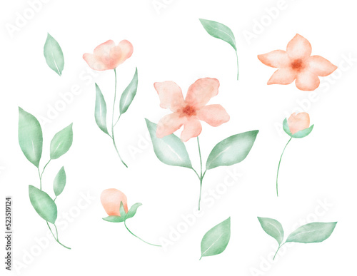 Watercolor floral elements pink flowers and leaves. Spring colorful decor with hand drawn illustrations on white background