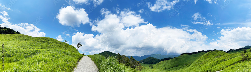 山頂から望む真っ青な空と雲と草原　パノラマ背景素材