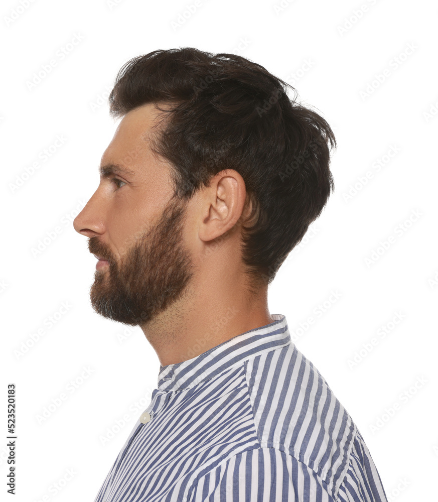 Obraz premium Profile portrait of bearded man on white background