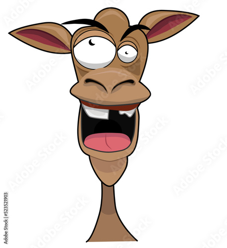 Camel face, surprise expression