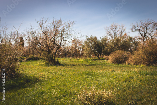 View of a rural location in Crete with trees and bushes on a spring day