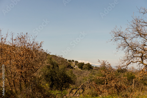 View of a rural location in Crete with trees and bushes on a spring day. In the background the Psiloritis mountain covered with snow
