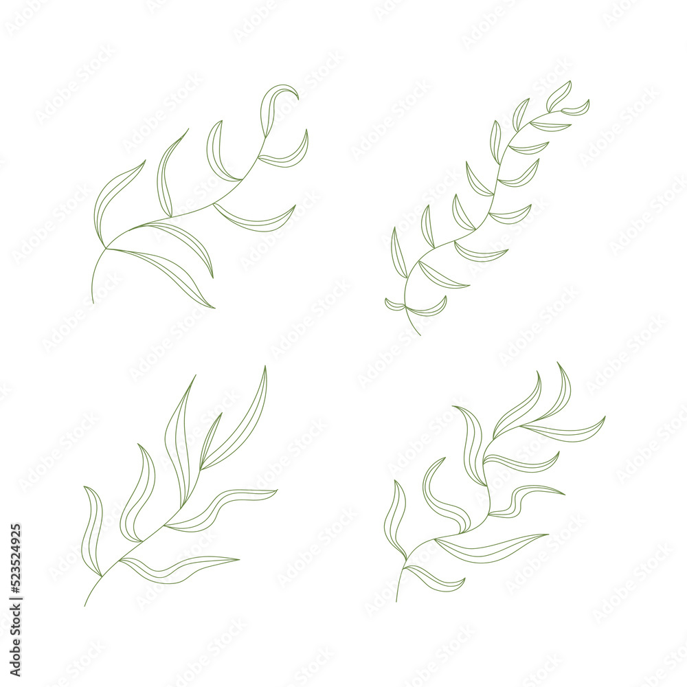 Set of hand drawn leaf branch flower with different shape.