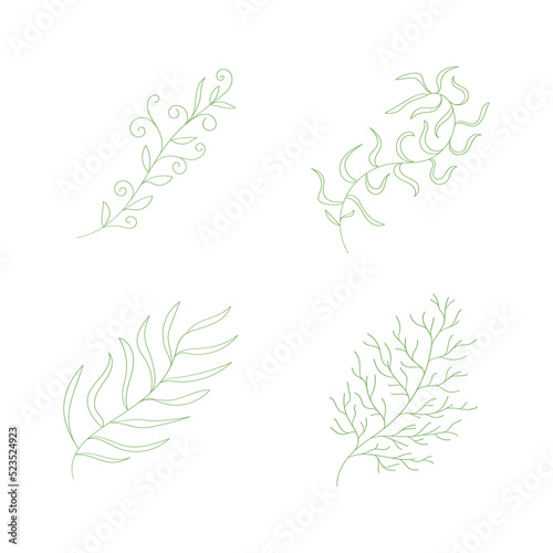 Set of hand drawn leaf branch flower with different shape.