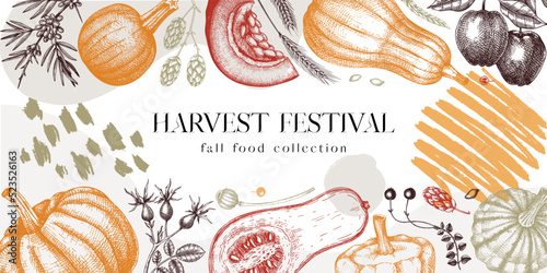 Sketched pumpkins collage in color. Thanksgiving background with autumn plants and fruit  drawings. Vector vegetables, butternut squash, marrow, pumpkin sketches. Fall harvest banner