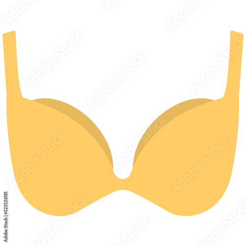 Ladies Undergarment 