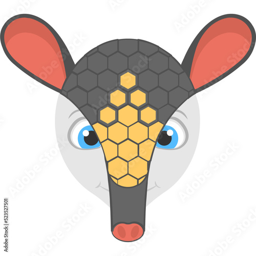 Armadillo 
