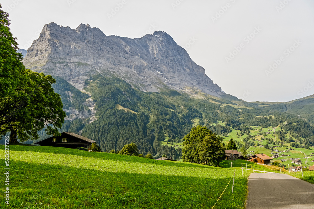 Grindelwald, Eiger, Eigernordwand, Alpen, Berner Oberland,  Kleine Scheidegg, Männlichen, Lauberhorn, Wanderweg, Bergdorf,  Bergbahnen, Landwirtschaft, Sommer, Schweiz