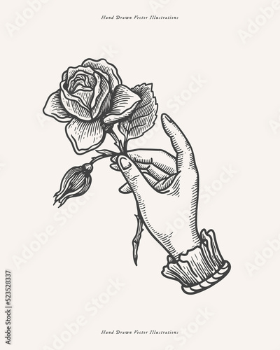 Hand holds a rose in an engraving style. Romantic symbol on a light background. Tattoo template. Vintage vector illustration.