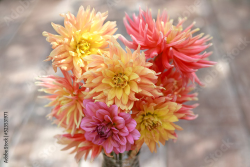 Beautiful red yellow Dahlia flowers.  Beautiful picture of dahlia flowers in a vase on a blurred wooden background. Dahlia red and yellow petals. Multicolor Flower.  Wallpaper. © Mariia