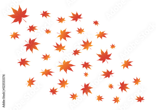 葉吹雪_紅葉_もみじ
