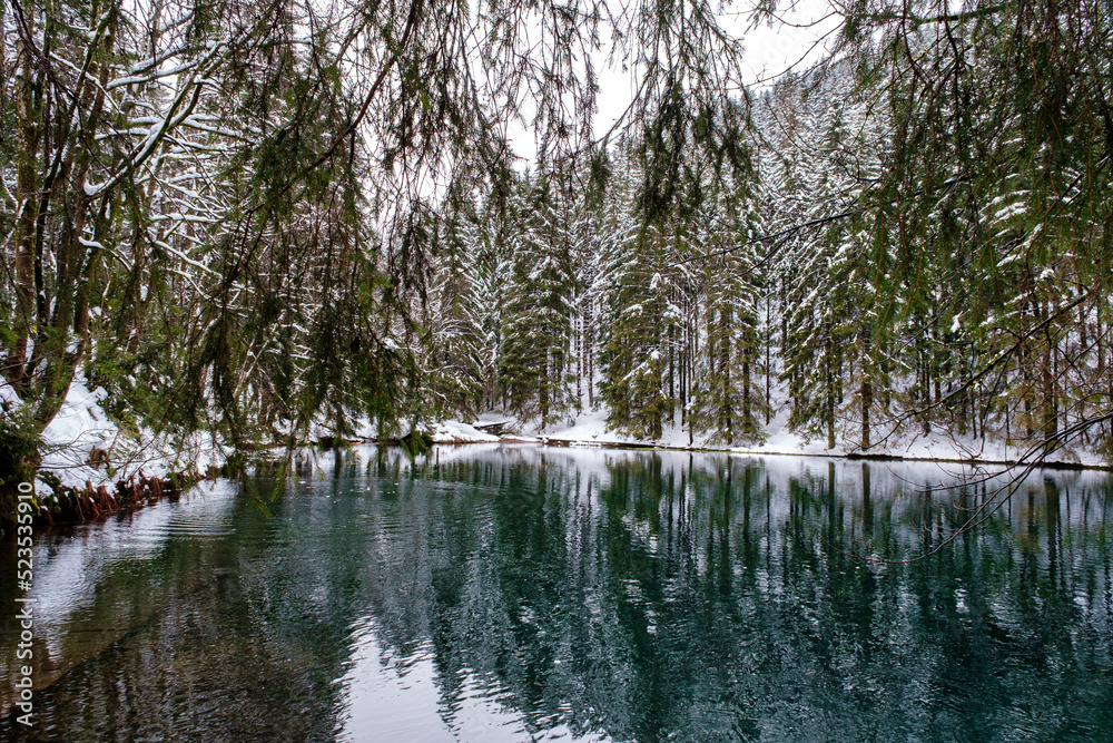 Obraz premium Lake in winter forest. Pine forest is on background. Germany.